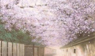 愿你三冬暖歌曲原唱